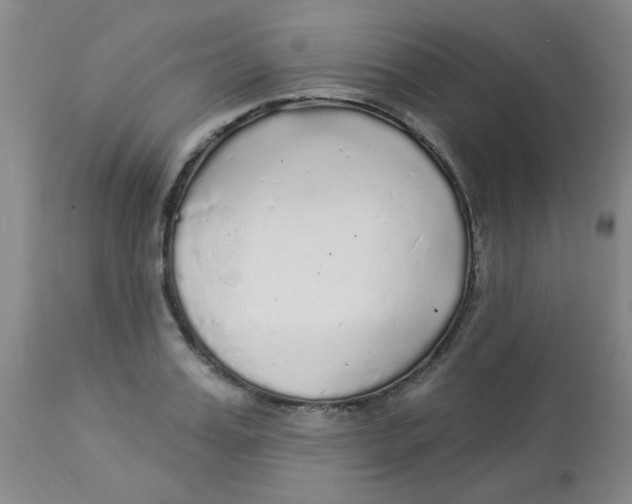 X0000113960987200910232025