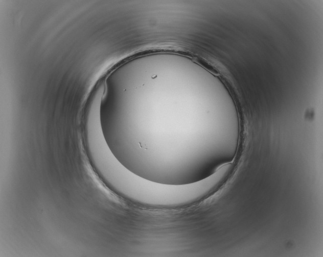 X0000113960989200910232025