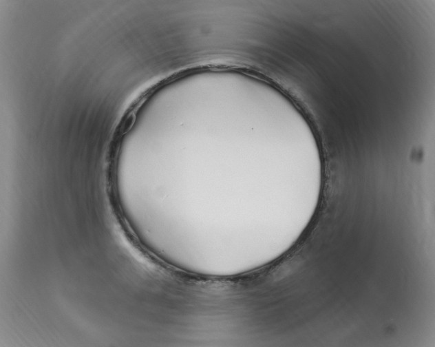 X0000113960991200910232025