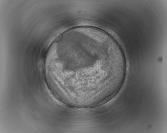 X0000113960993200910232025