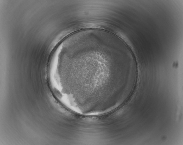 X0000113960994200910232025