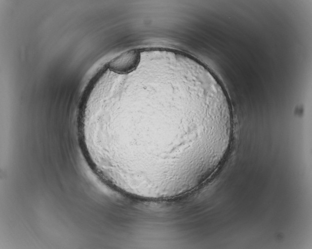 X0000113960995200910232025