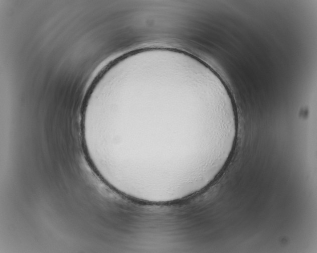 X0000113960996200910232025