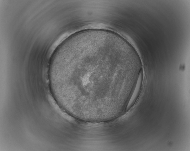 X0000113960997200910232025