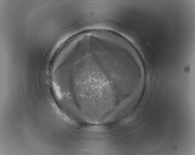 X0000113960998200910232025