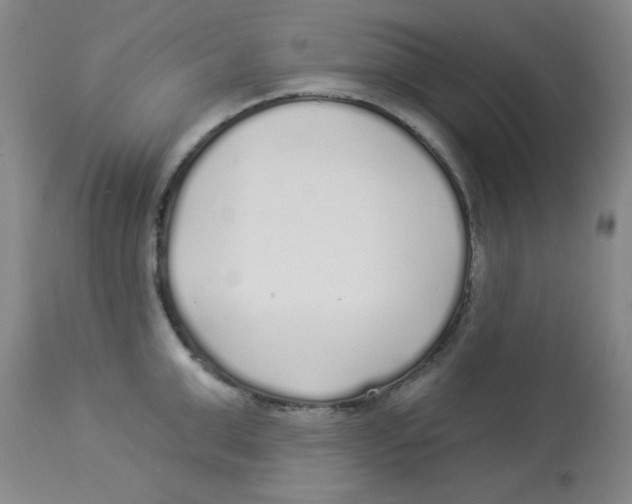 X0000113960999200910232025