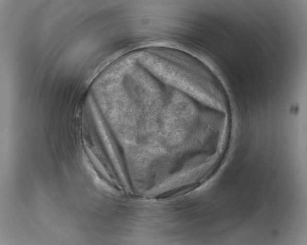 X0000113961001200910232025