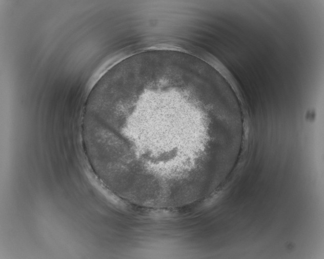 X0000113961002200910232025