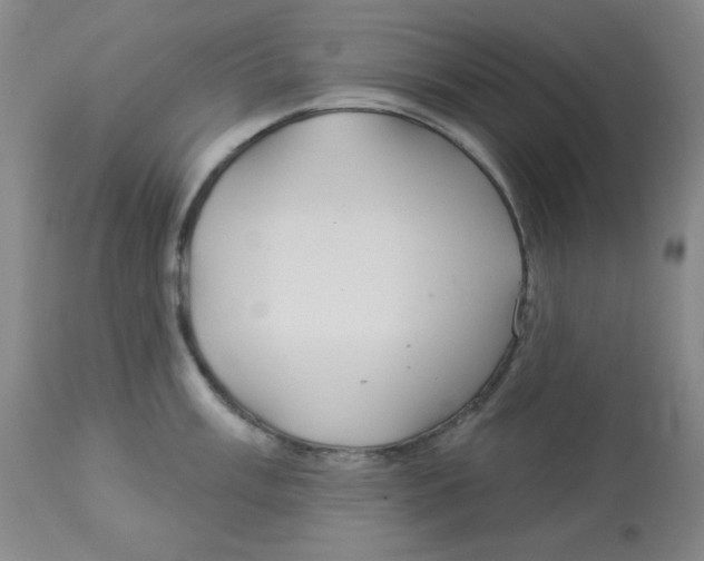 X0000113961003200910232025