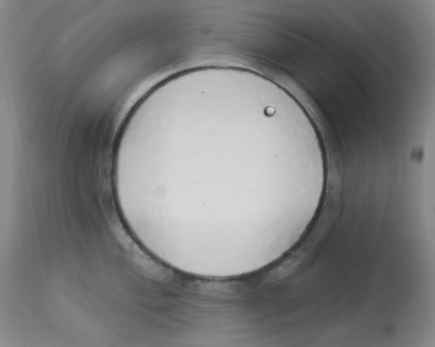 X0000113961004200910232024