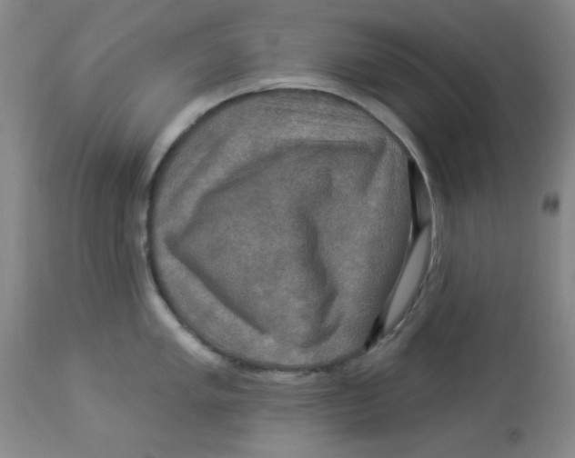 X0000113961005200910232024