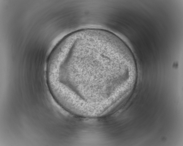 X0000113961006200910232024