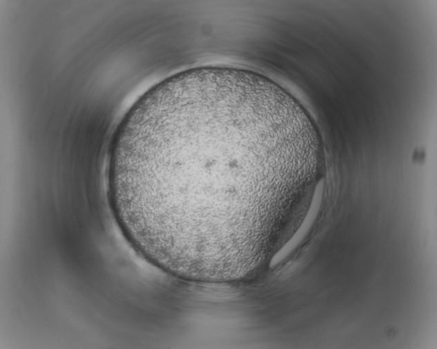 X0000113961007200910232024