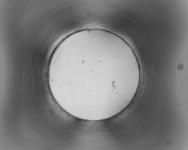 X0000113961008200910232024