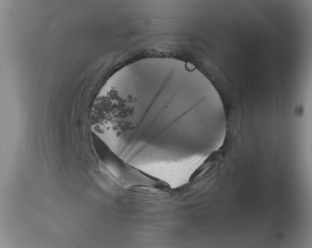 X0000113961009200910232024