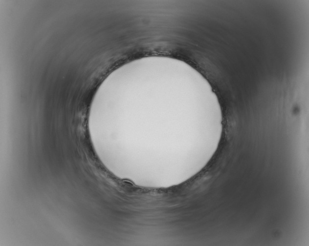 X0000113961010200910232024