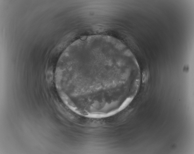 X0000113961011200910232024