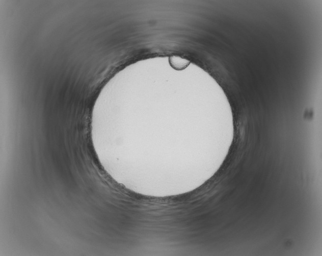 X0000113961012200910232024