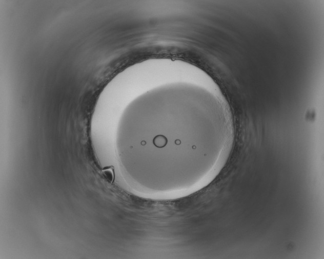 X0000113961013200910232024