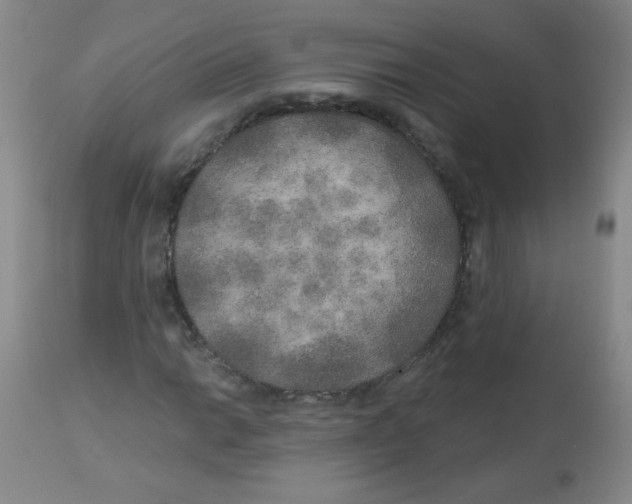 X0000113961014200910232024