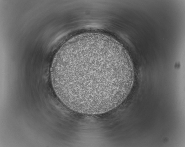 X0000113961015200910232024