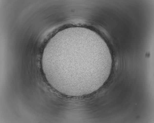 X0000113961016200910232024