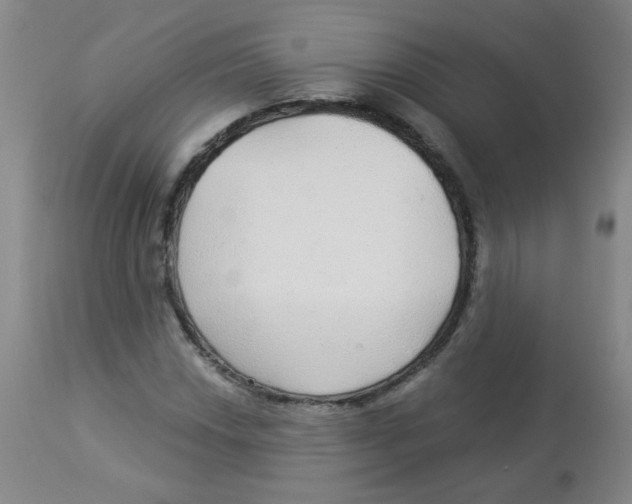 X0000113961018200910232024