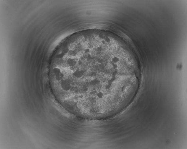 X0000113961019200910232024