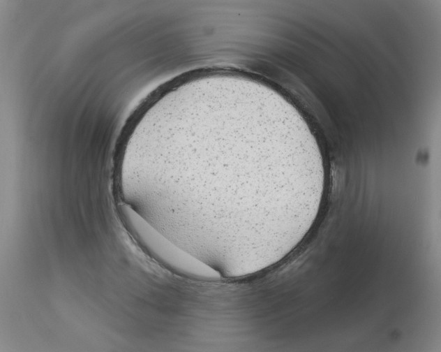 X0000113961020200910232024