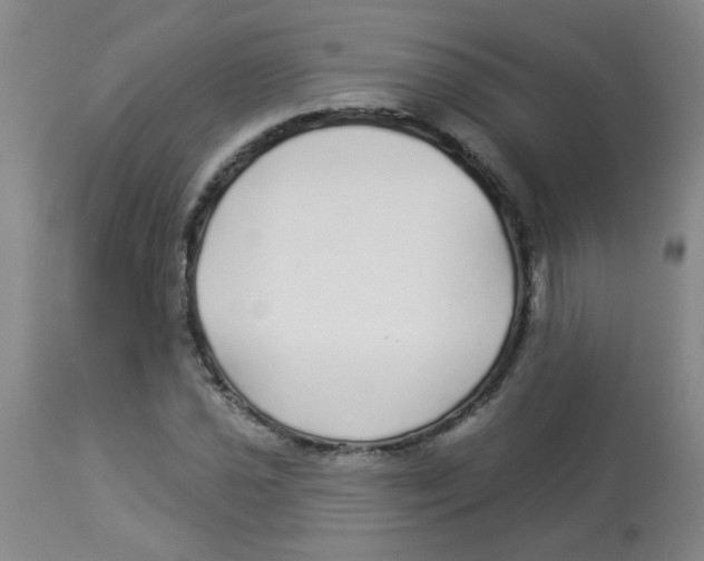 X0000113961021200910232024