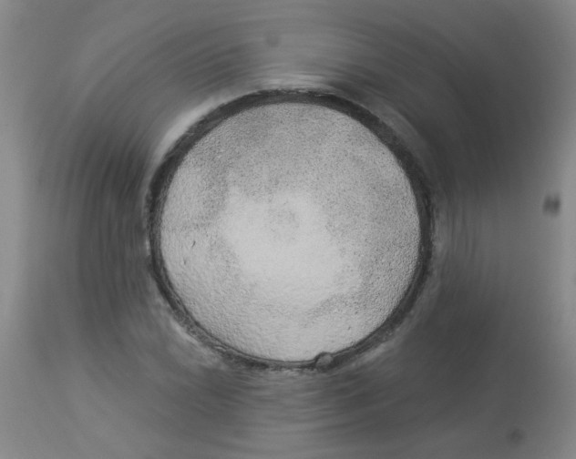 X0000113961022200910232024