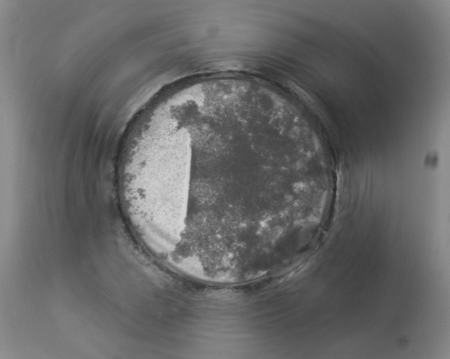 X0000113961023200910232024