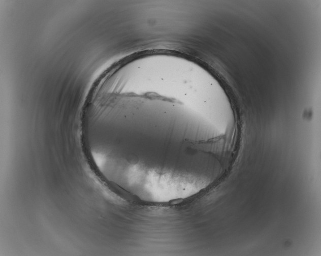 X0000113961024200910232024