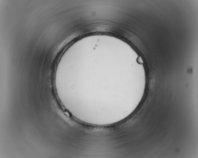 X0000113961026200910232024