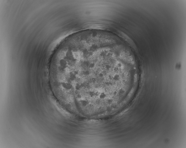 X0000113961027200910232024