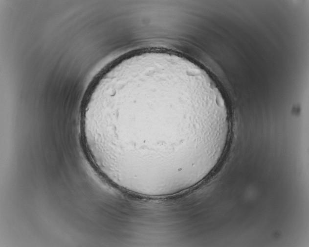 X0000113961028200910232024