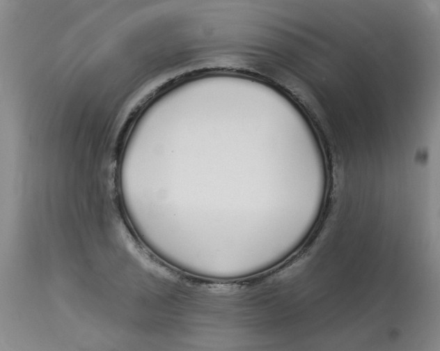 X0000113961029200910232024