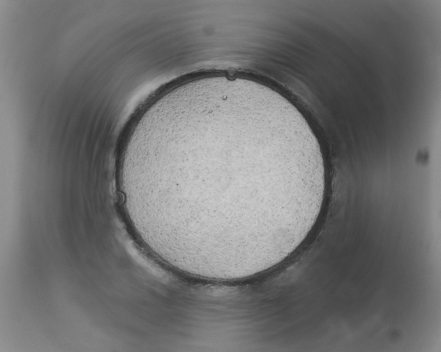 X0000113961030200910232024