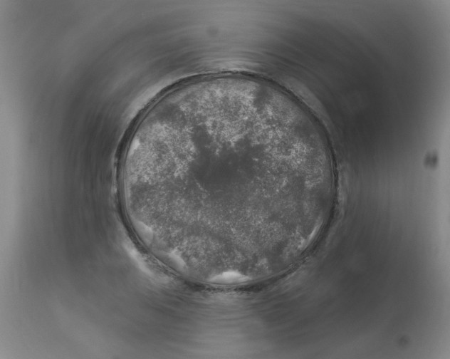 X0000113961031200910232024