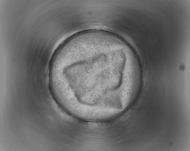 X0000113961032200910232024