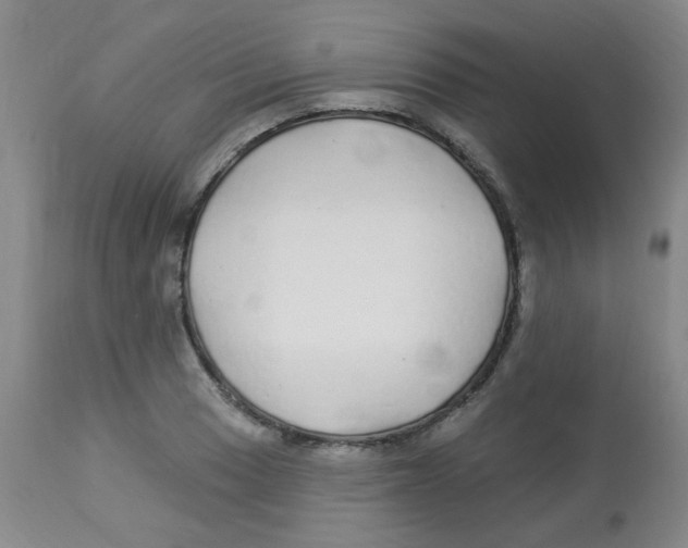 X0000113961033200910232024