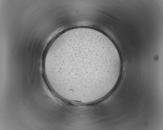 X0000113961034200910232024