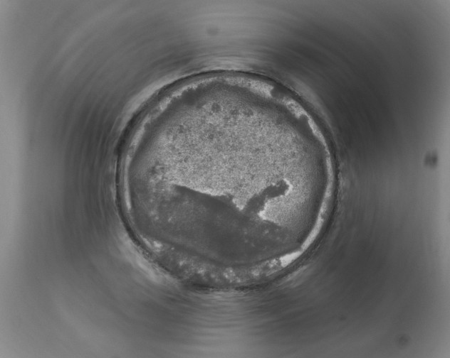 X0000113961035200910232024