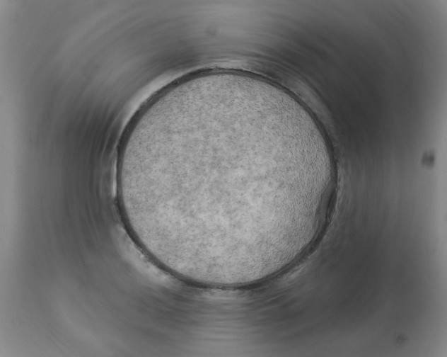 X0000113961036200910232024