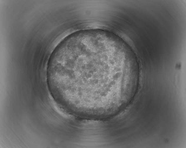 X0000113961039200910232024