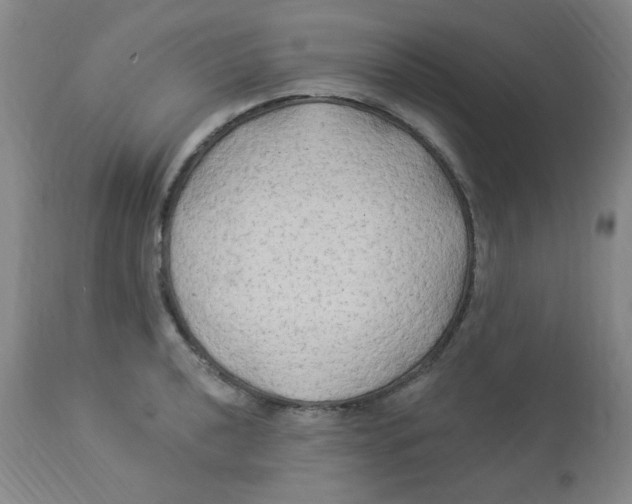 X0000113961040200910232024