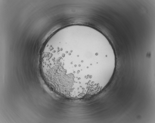 X0000113961042200910232024