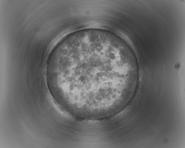 X0000113961043200910232024