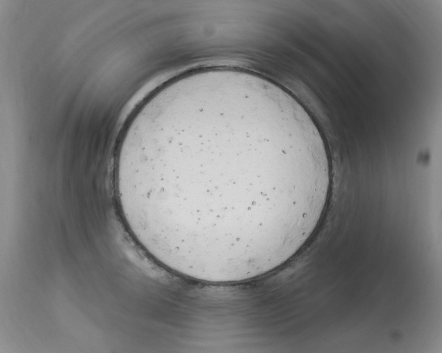 X0000113961044200910232024