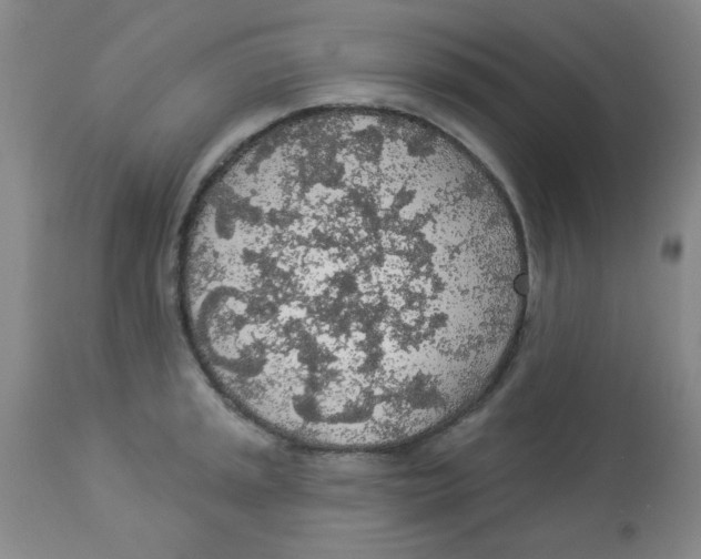 X0000113961045200910232024